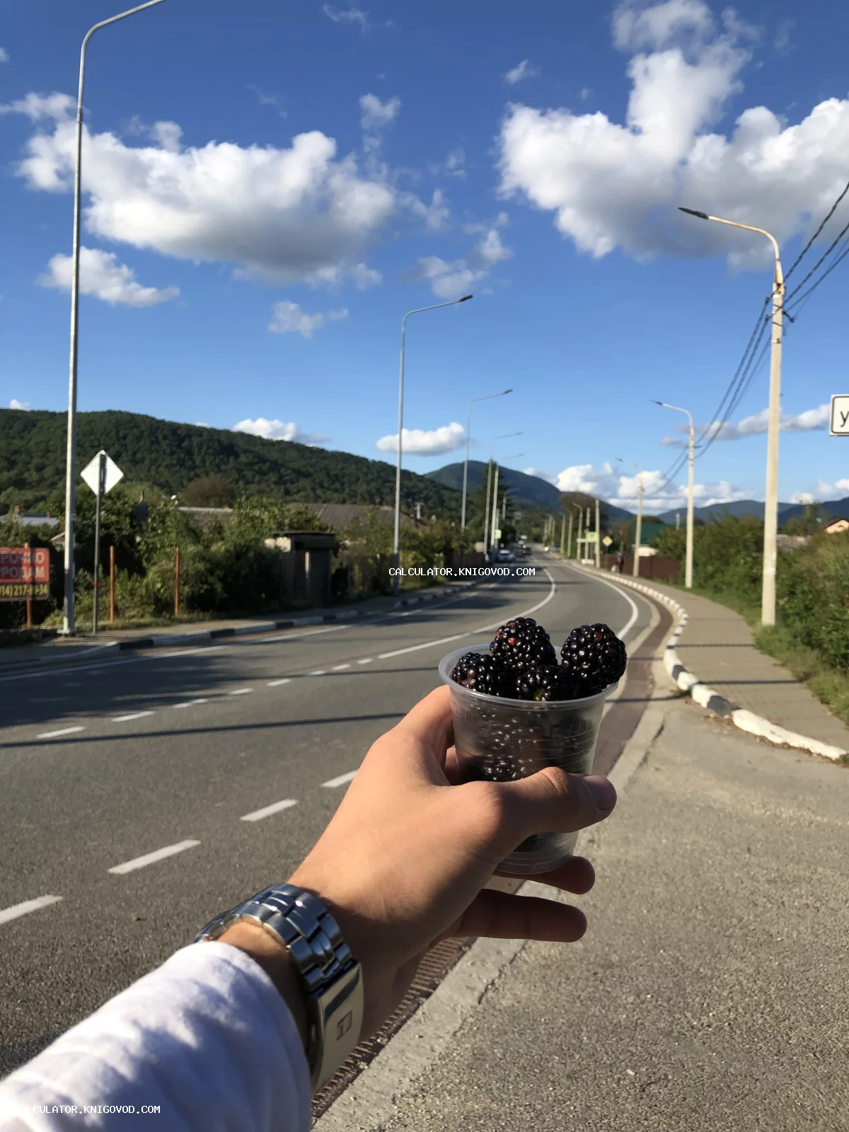 Рука с наручными часами держит прозрачный стакан с крупной ежевикой на фоне извилистой асфальтированной дороги, уходящей к лесистым горам под облачным небом.