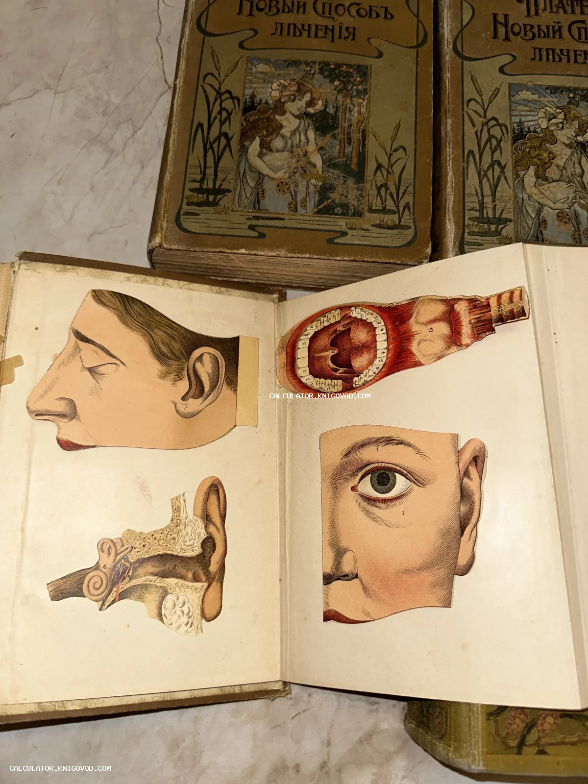 Разворот старинной медицинской книги с цветными иллюстрациями строения глаза, уха и горла рядом с обложками в стиле модерн.