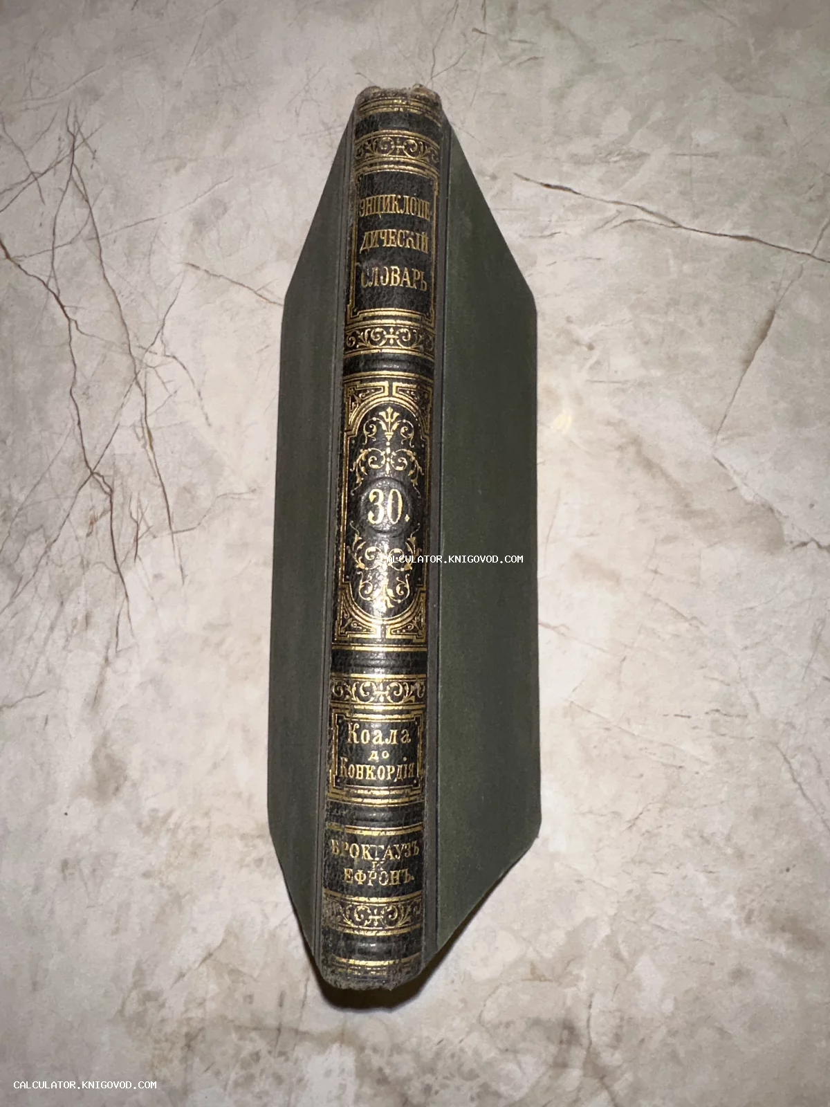 Корешок антикварной книги «Энциклопедический словарь Брокгауза и Ефрона», том 30, с золотым тиснением на темном переплете.