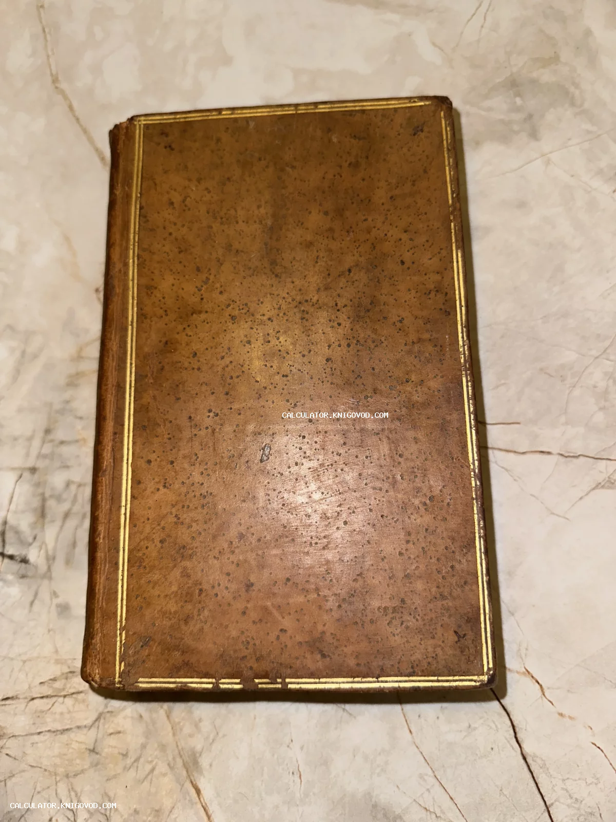 Антикварная книга в коричневом кожаном переплете с золотой рамкой по периметру крышки на светлом фоне.