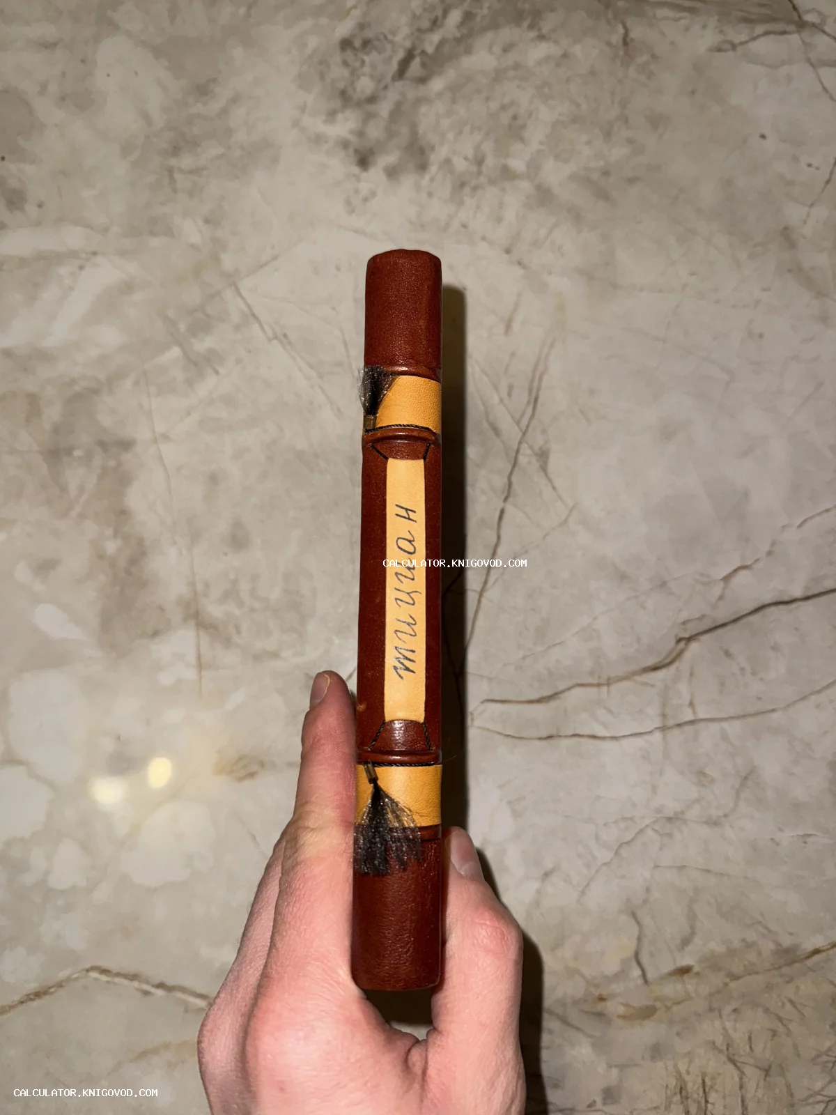 Корешок старинной книги в коричневом кожаном переплете с рукописной вставкой «Тициан» и декоративными кисточками.