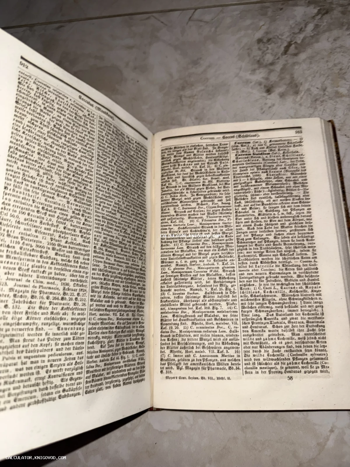 Разворот старинной немецкой книги с текстом в две колонки, напечатанным шрифтом фрактура на пожелтевшей бумаге.