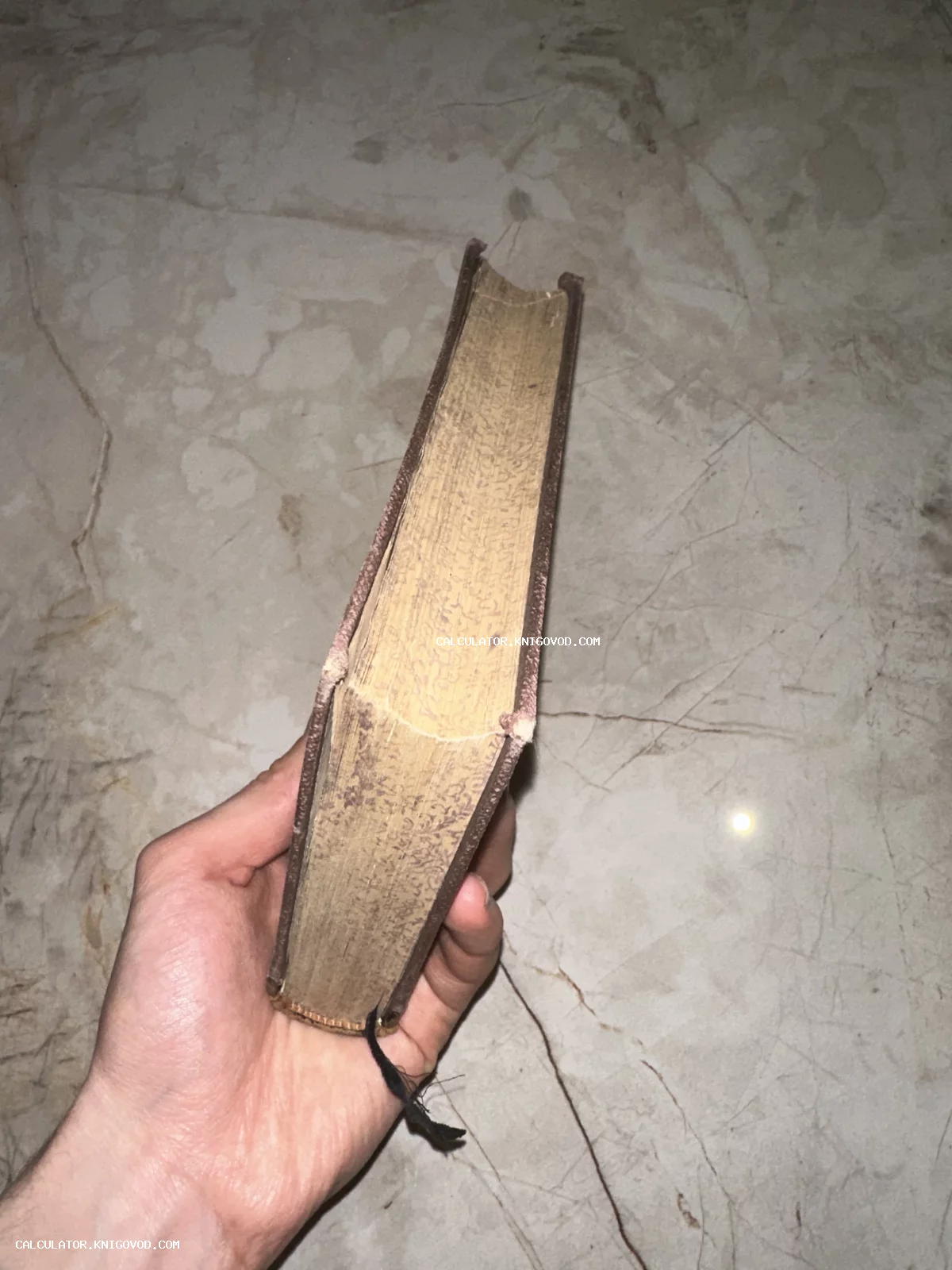 Рука держит антикварную книгу, демонстрируя декоративный узор на торце страниц и следы времени на переплете.