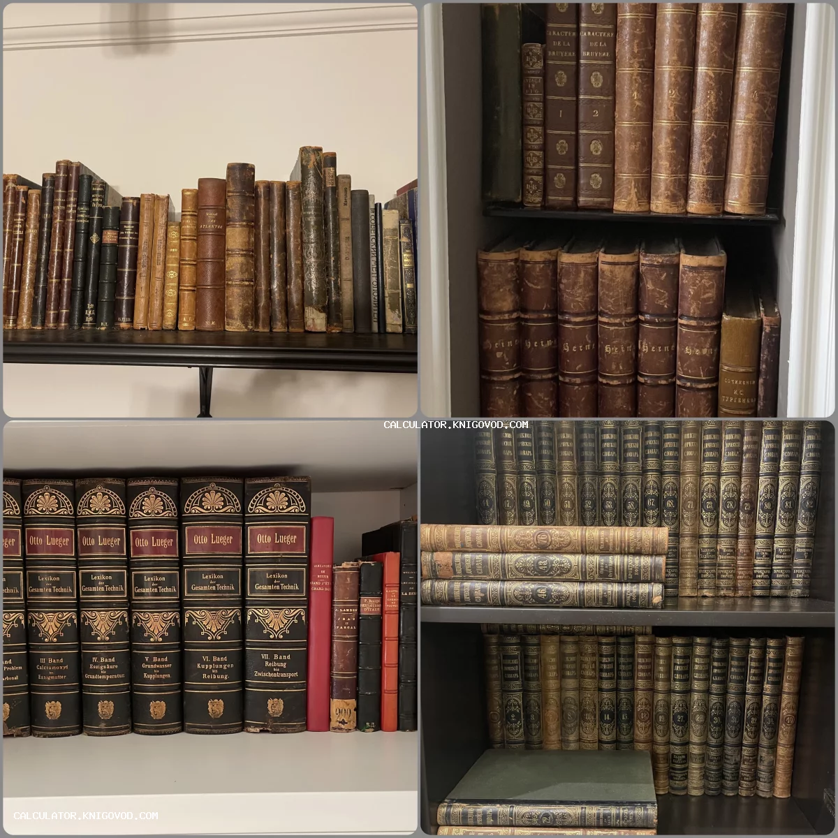 Коллаж из четырех фотографий книжных полок со старинными книгами, энциклопедиями Брокгауза и Ефрона и техническими словарями Отто Люгера.