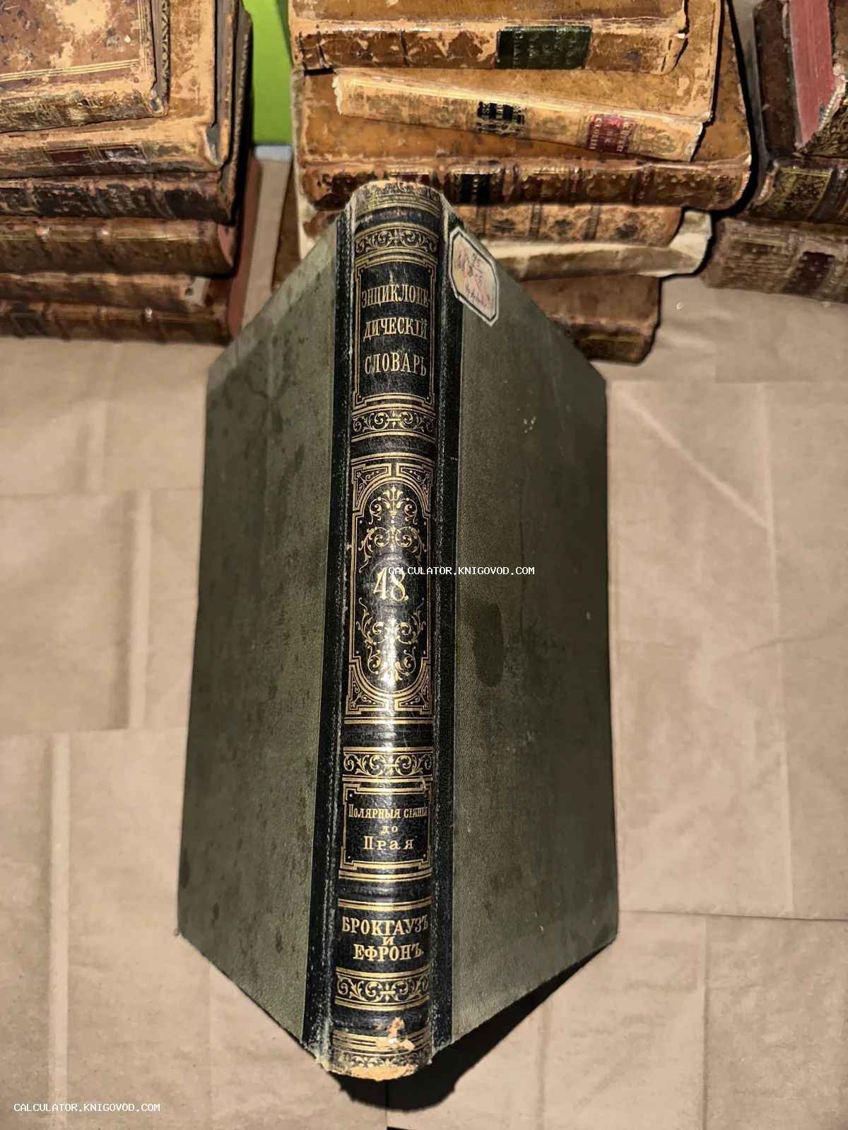 Корешок антикварного 48-го тома Энциклопедического словаря Брокгауза и Ефрона с золотым тиснением на фоне стопок старых книг.
