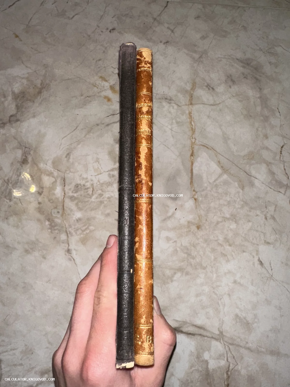 Две старинные книги в руке, вид на корешки. Правая книга имеет золотое тиснение с надписью Обзор всеобщей истории.