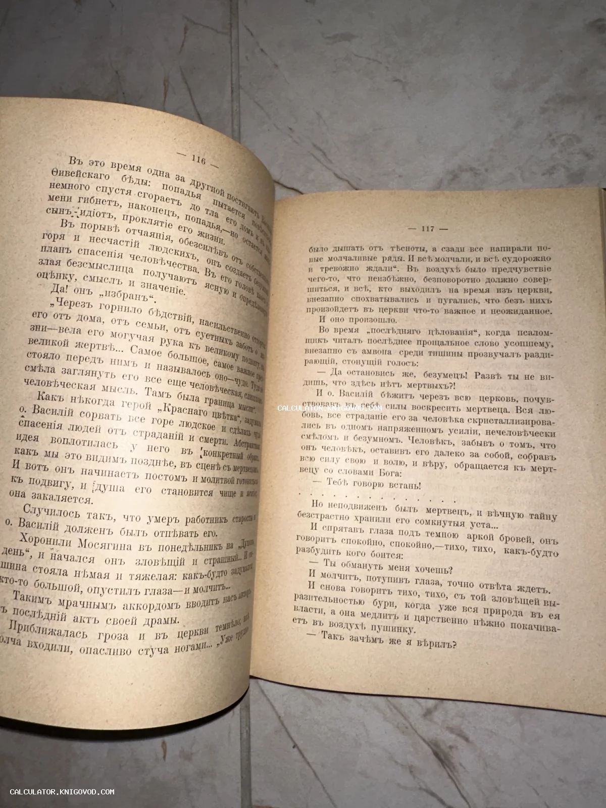Разворот открытой антикварной книги с текстом на дореформенном русском языке, страницы 116 и 117.