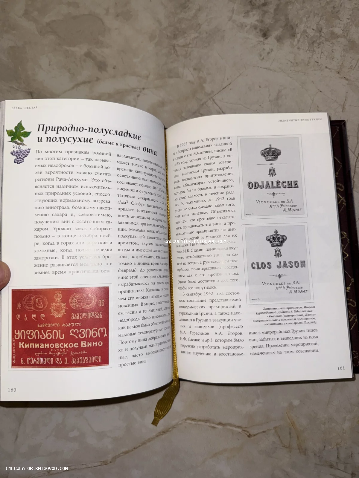 Разворот книги о винах Грузии с изображениями старинных винных этикеток Odjaleche и Кипиановского вина.
