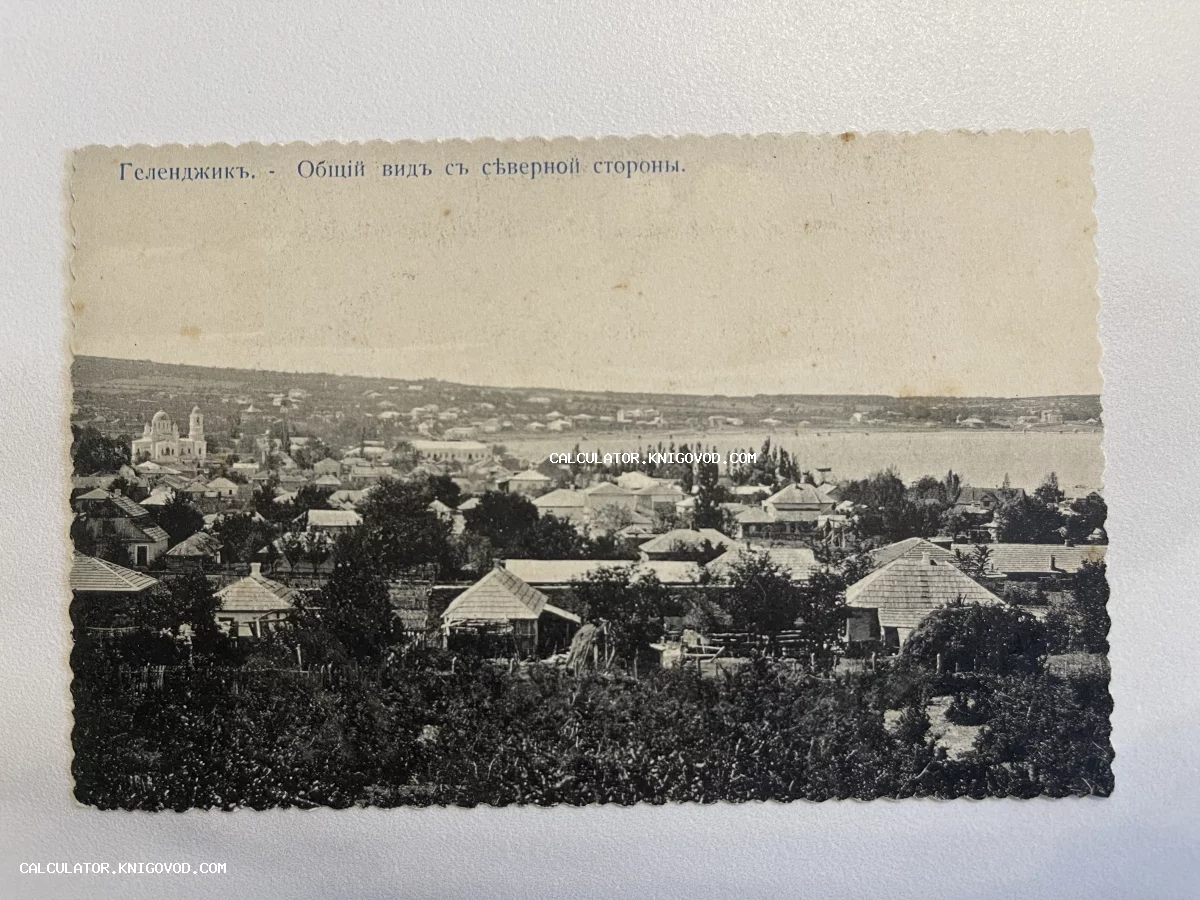Черно-белая антикварная открытка начала XX века с панорамой Геленджика, видом на море и городскую архитектуру.