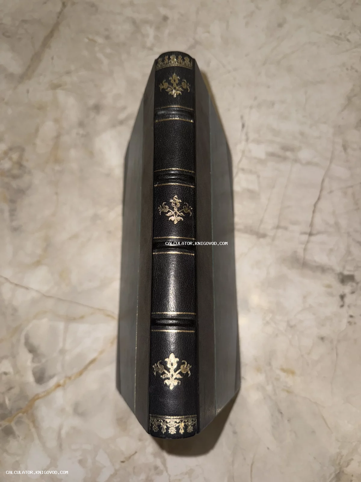 Корешок антикварной книги из темной кожи с золотыми флоральными узорами и выпуклыми бинтами на мраморной поверхности.