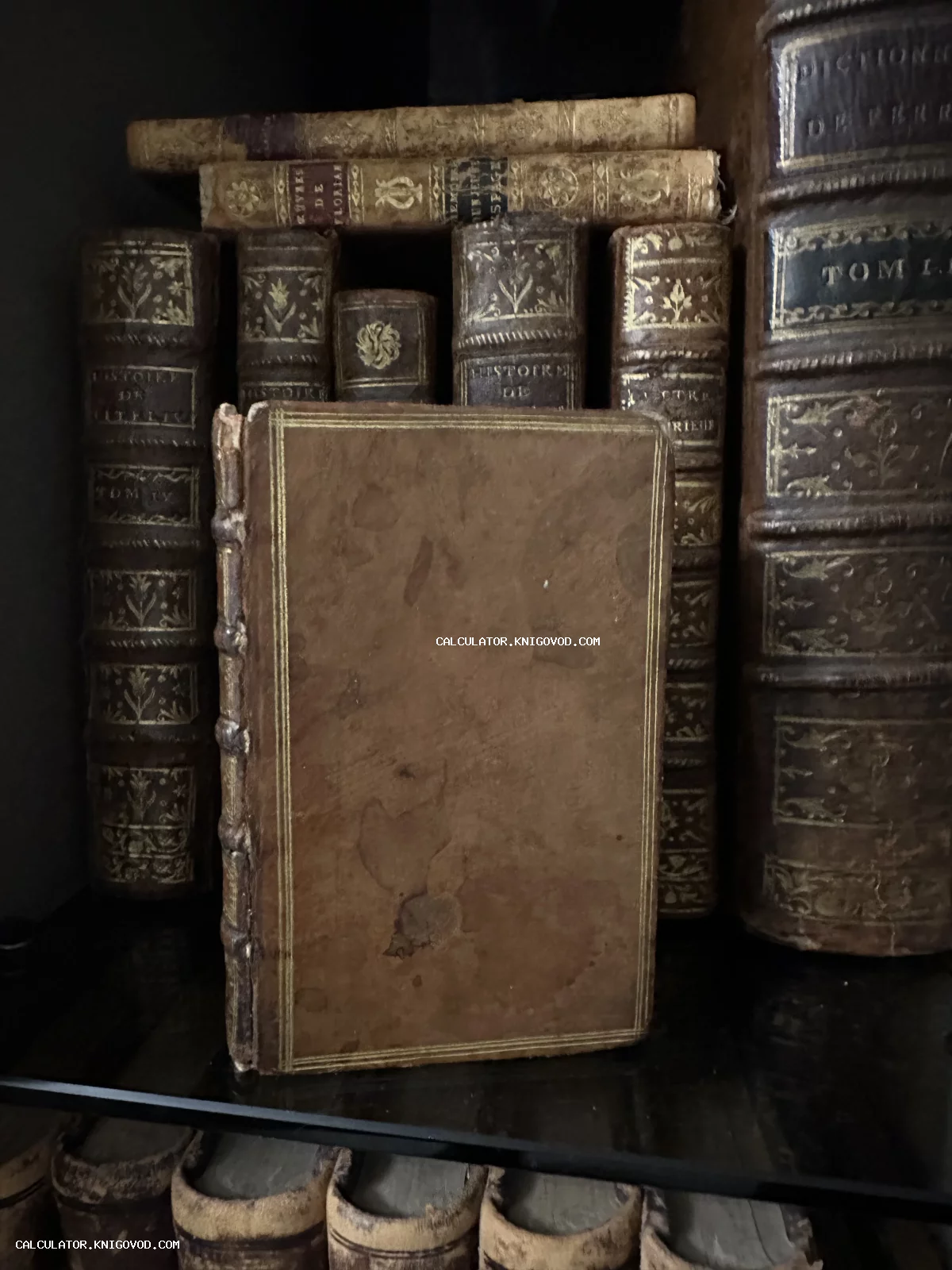 Старинные европейские книги в кожаных переплетах с золотым тиснением на книжной полке