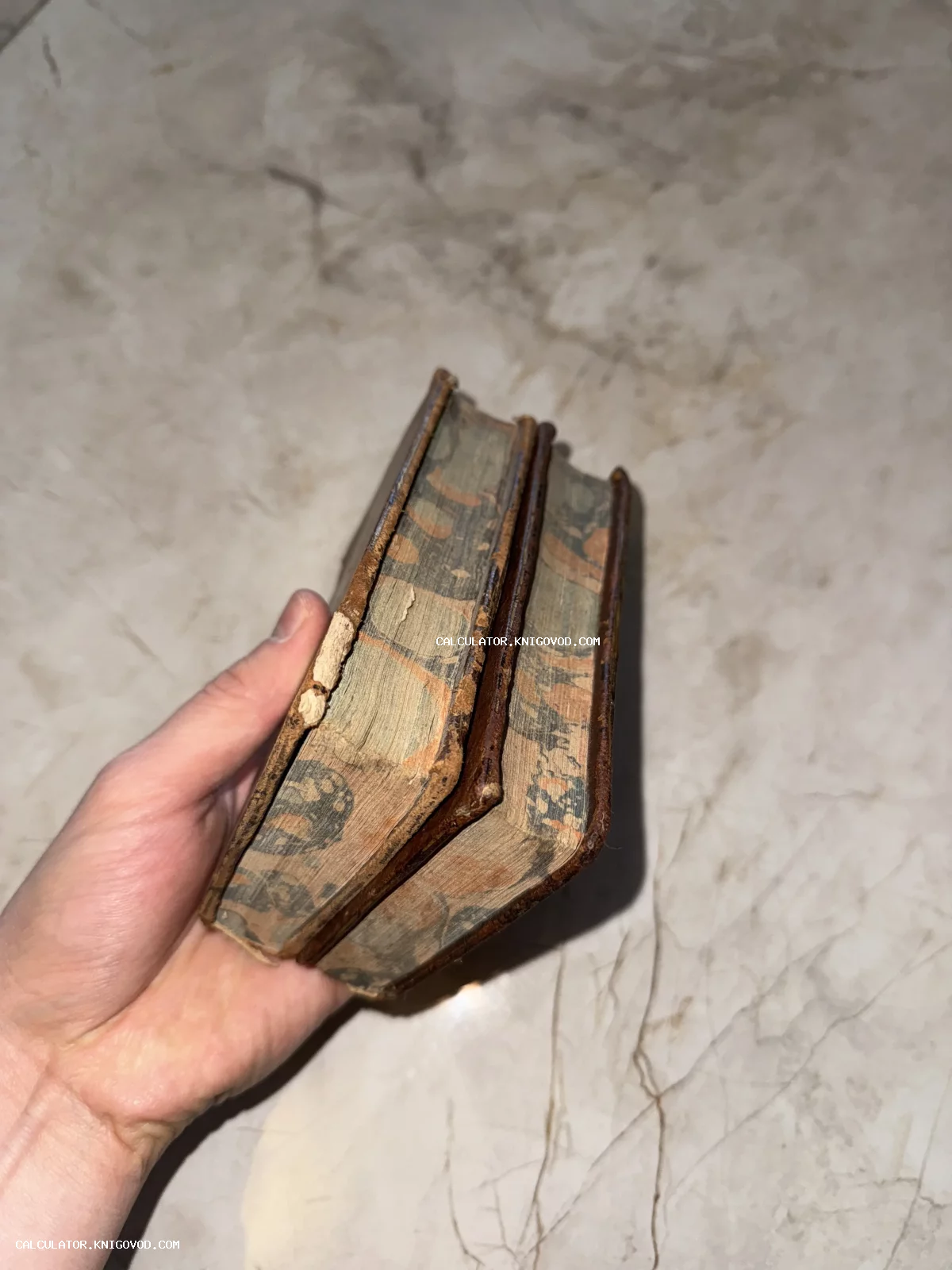 Две антикварные книги в потертых переплетах с декоративным мраморным узором на срезе страниц в руке человека.