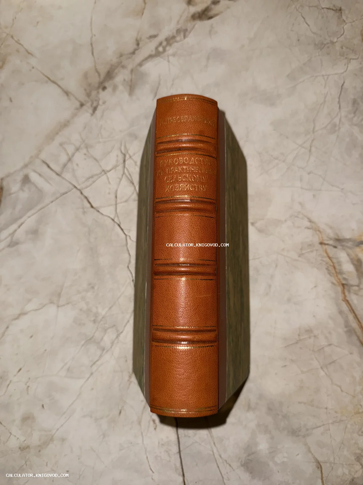 Корешок антикварной книги в коричневом кожаном переплете с золотым тиснением на мраморной поверхности.