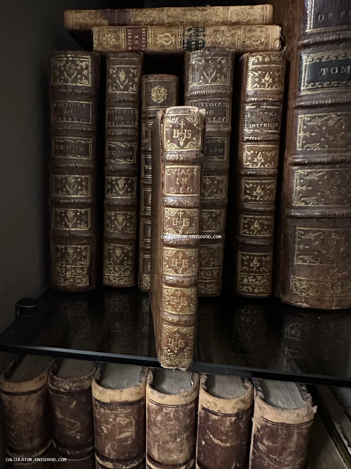 Ряд старинных книг в кожаных переплетах на стеклянной полке, крупный план корешка с монограммой IHS и золотым узором.