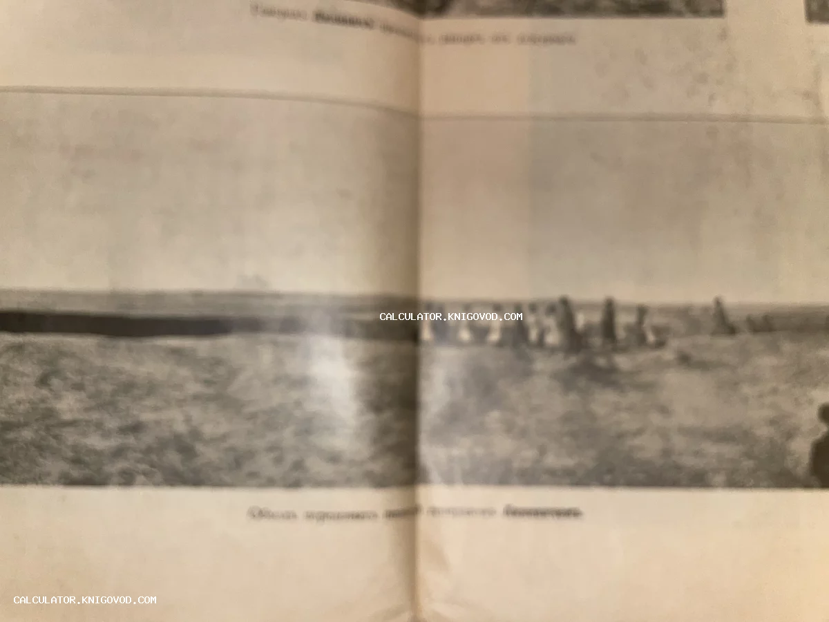 Черно-белая фотография на книжном развороте, изображающая ряд вертикальных камней или мегалитов на фоне ровного горизонта.