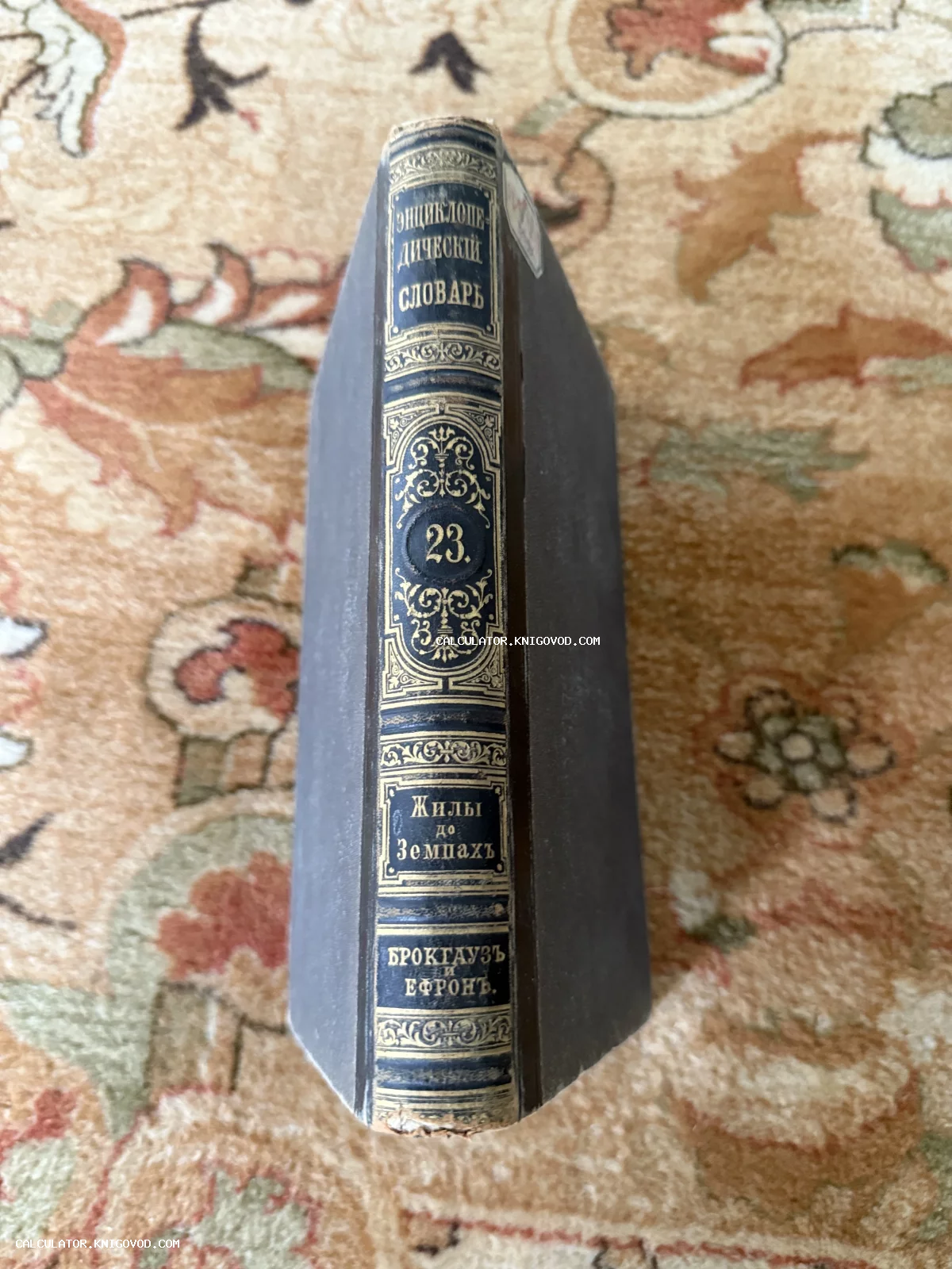 Корешок антикварной книги «Энциклопедический словарь Брокгауза и Ефрона», том 23, с золотым тиснением на темном фоне.