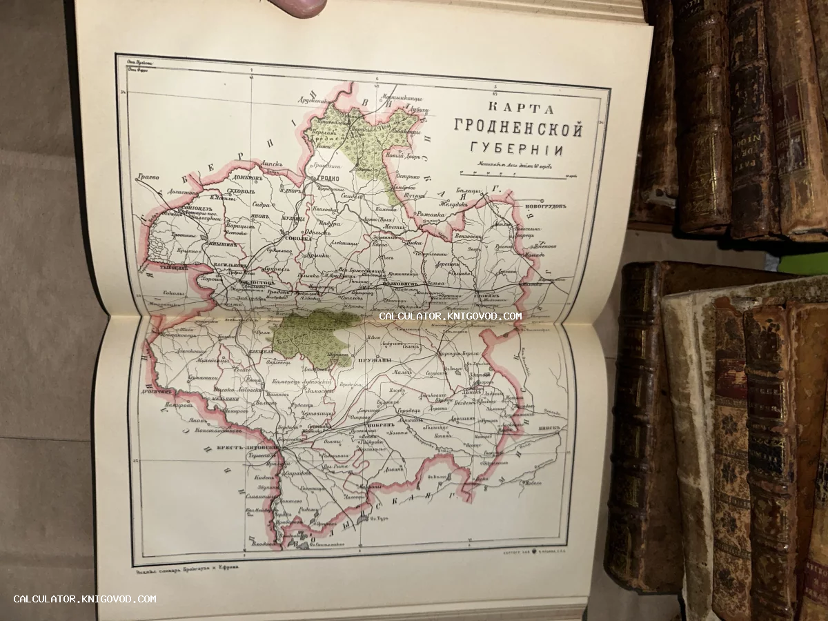 Разворот старинной книги с цветной топографической картой Гродненской губернии на фоне кожаных переплетов.