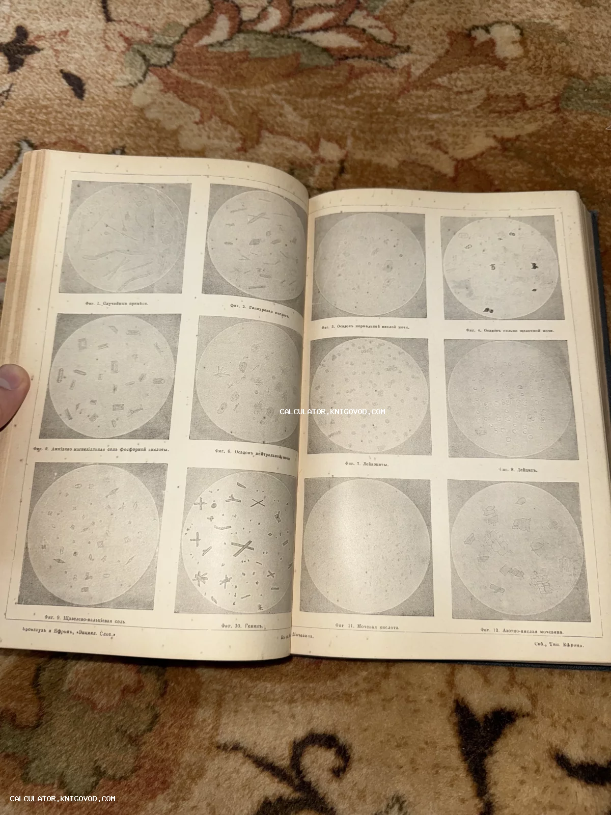 Разворот старинной книги с двенадцатью круглыми иллюстрациями микроскопических препаратов, включая кристаллы кислот и клетки крови.