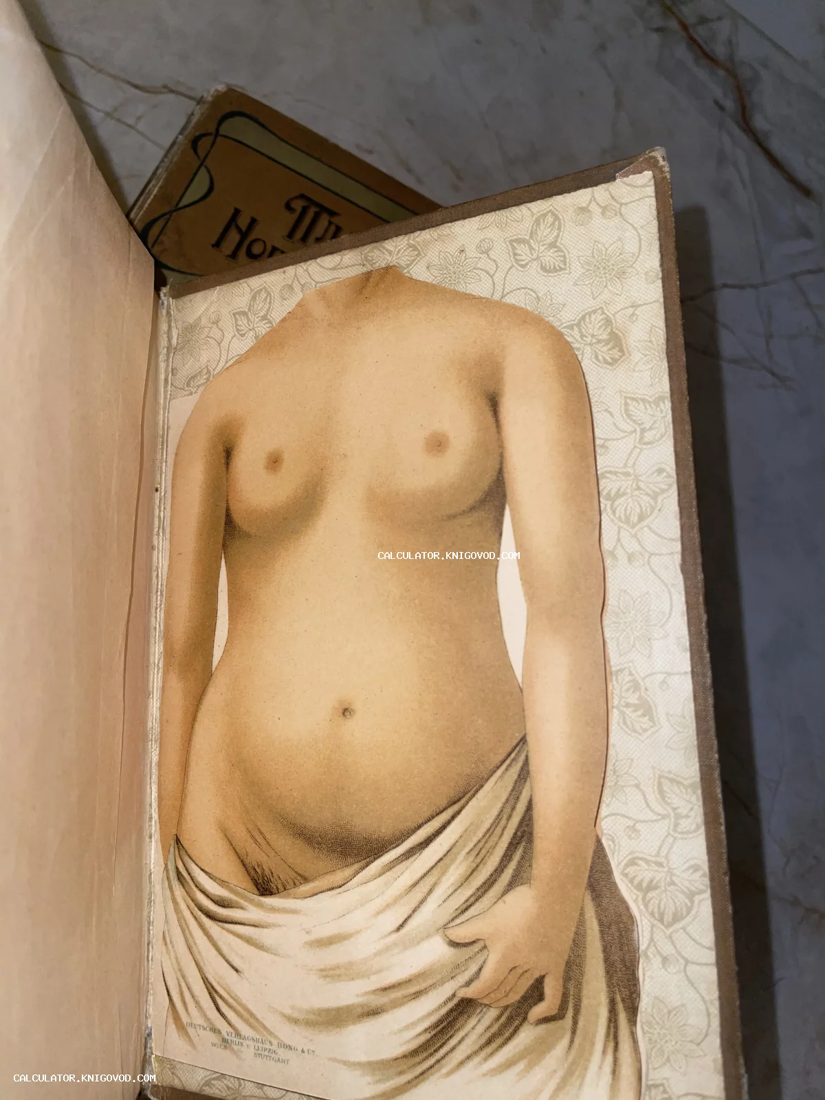 Старинная цветная литография с изображением женского торса из немецкого медицинского издания на фоне декоративного форзаца.