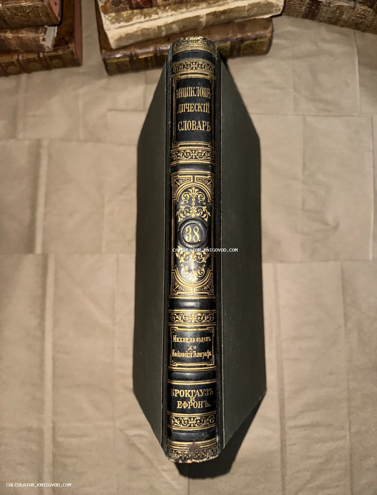 Корешок антикварной книги в кожаном переплете с золотым тиснением, Энциклопедический словарь Брокгауза и Ефрона, том 38.
