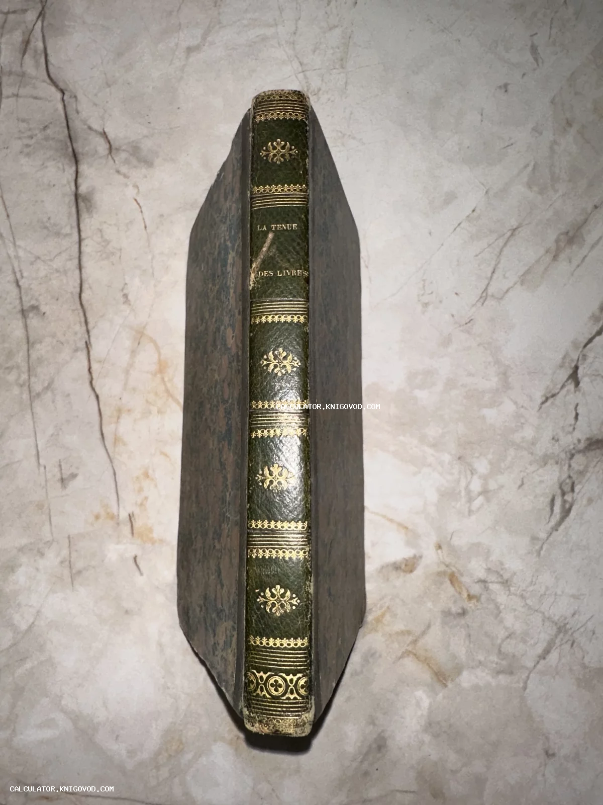 Корешок старинной французской книги с золотым тиснением на темно-зеленой коже, лежащей на мраморной поверхности.