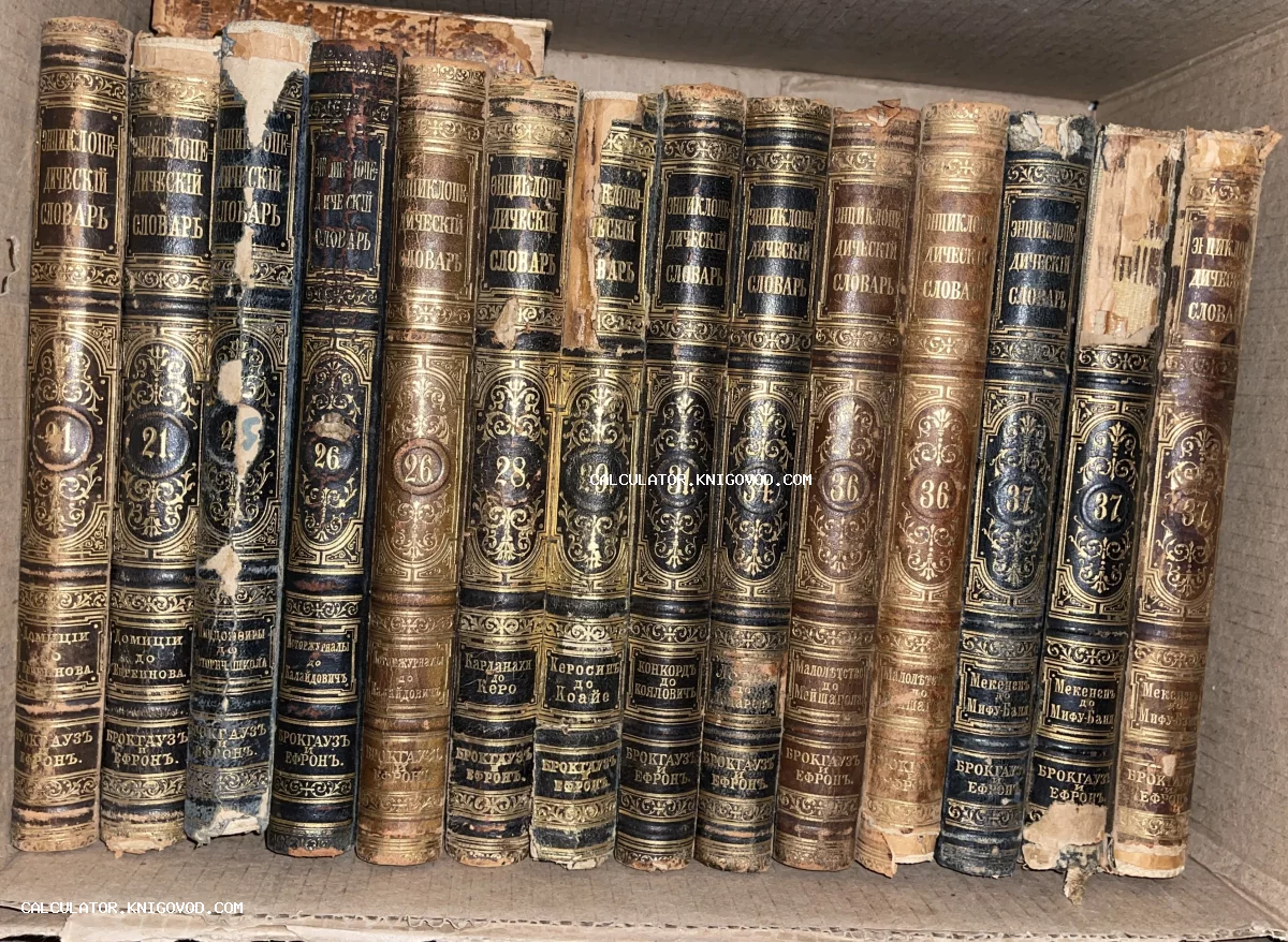 Старинные книги с золотым тиснением на корешках, стоящие в ряд. Видны названия томов словаря Брокгауза и Ефрона.