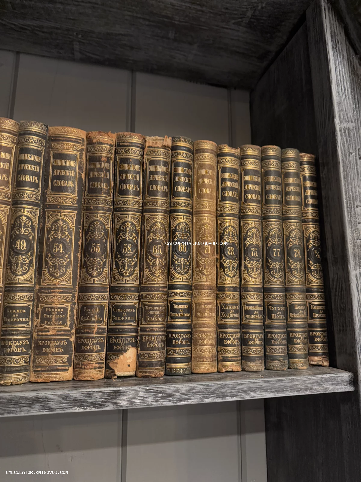 Ряд старинных томов Энциклопедического словаря Брокгауза и Ефрона с золотым тиснением на корешках, стоящих на полке.