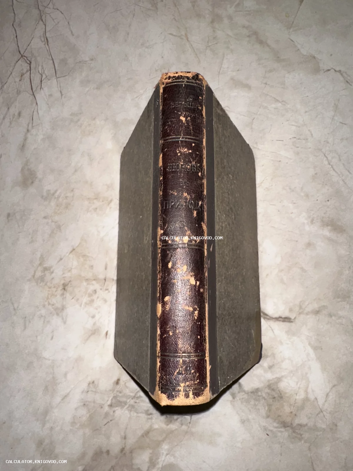 Корешок антикварной книги в кожаном переплете с тиснением Жизнь в природе на мраморном фоне