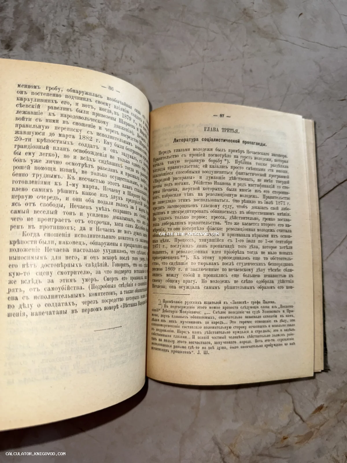Разворот старинной книги с текстом на дореволюционном русском языке, страницы 86 и 87, глава третья: Литература социалистической пропаганды.