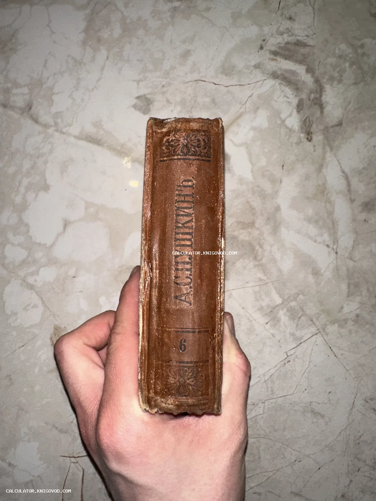 Корешок старинной книги Александра Пушкина в коричневом переплете с золотым тиснением и дореволюционной орфографией.