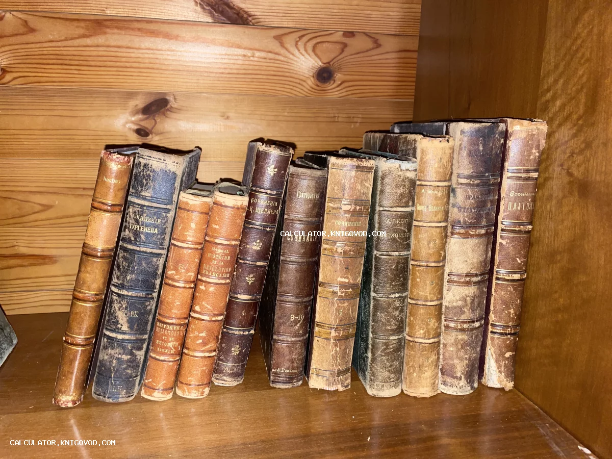 Ряд старинных книг с тиснеными кожаными корешками на деревянной полке, включая труды Тургенева и Платона.