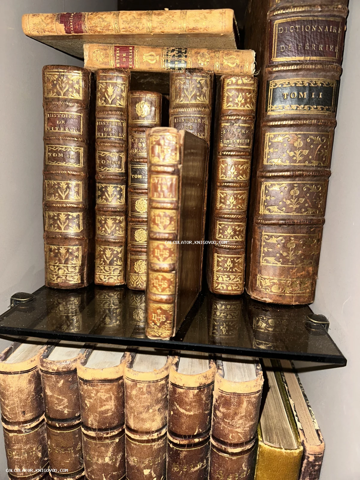 Ряд старинных книг с массивными кожаными корешками и богатым золотым тиснением на стеклянной полке.