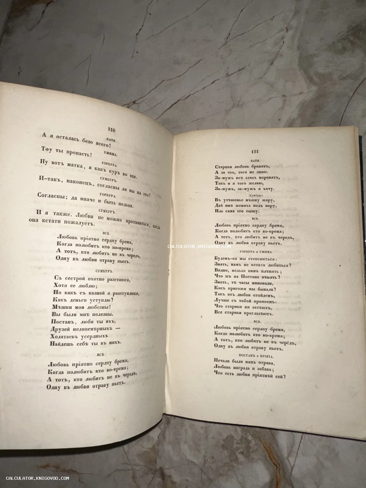 Фотография раскрытой старинной книги на страницах 110 и 111 с текстом на дореволюционном русском языке.