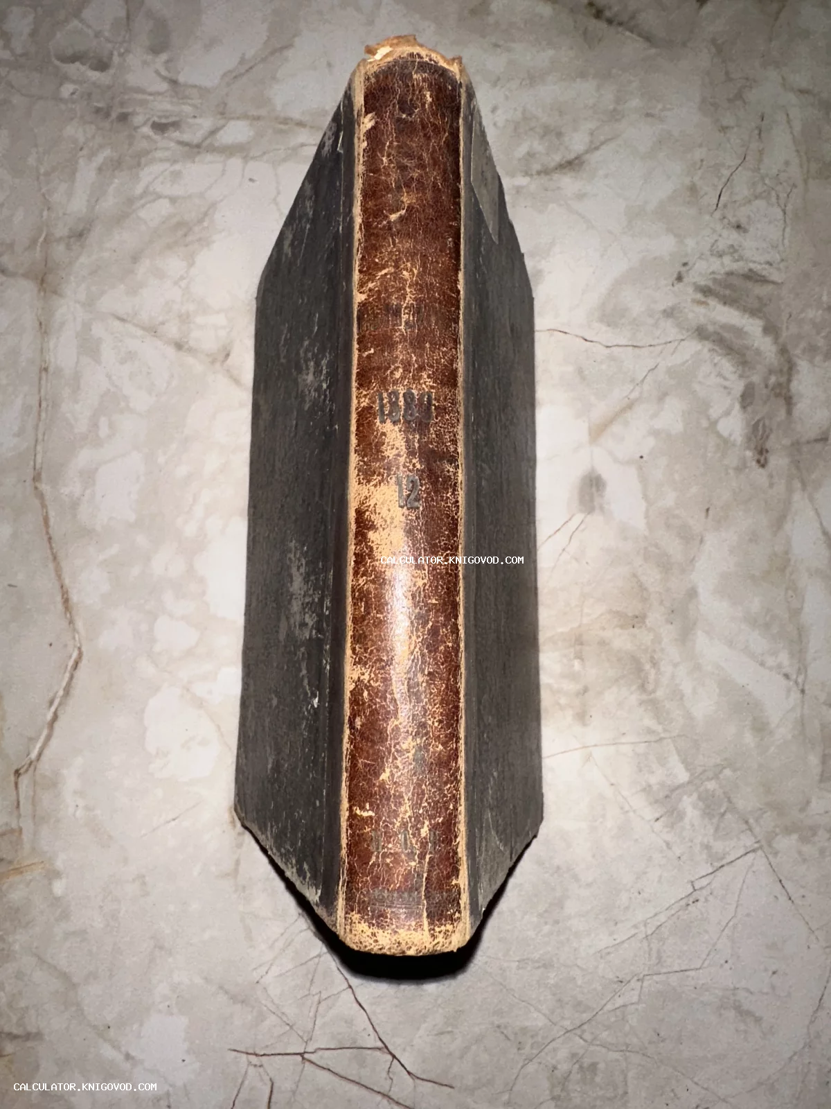 Вид сверху на корешок старинной антикварной книги 1880 года с потертостями и следами времени.