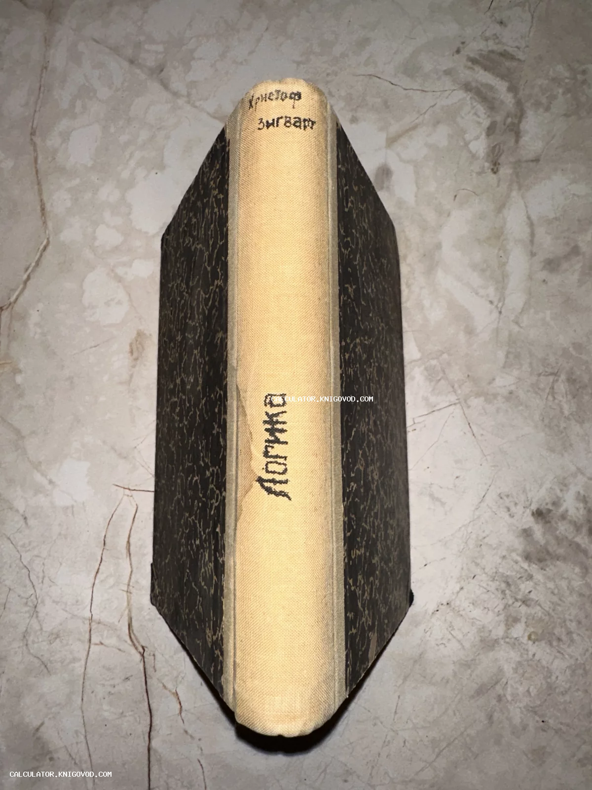 Корешок и обложка старинной книги Христофа Зигварта «Логика» в классическом переплете на светлом фоне.