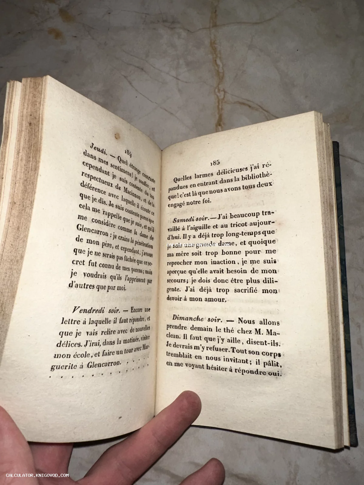 Разворот антикварной книги на французском языке с текстом в виде дневниковых записей на пожелтевшей бумаге.