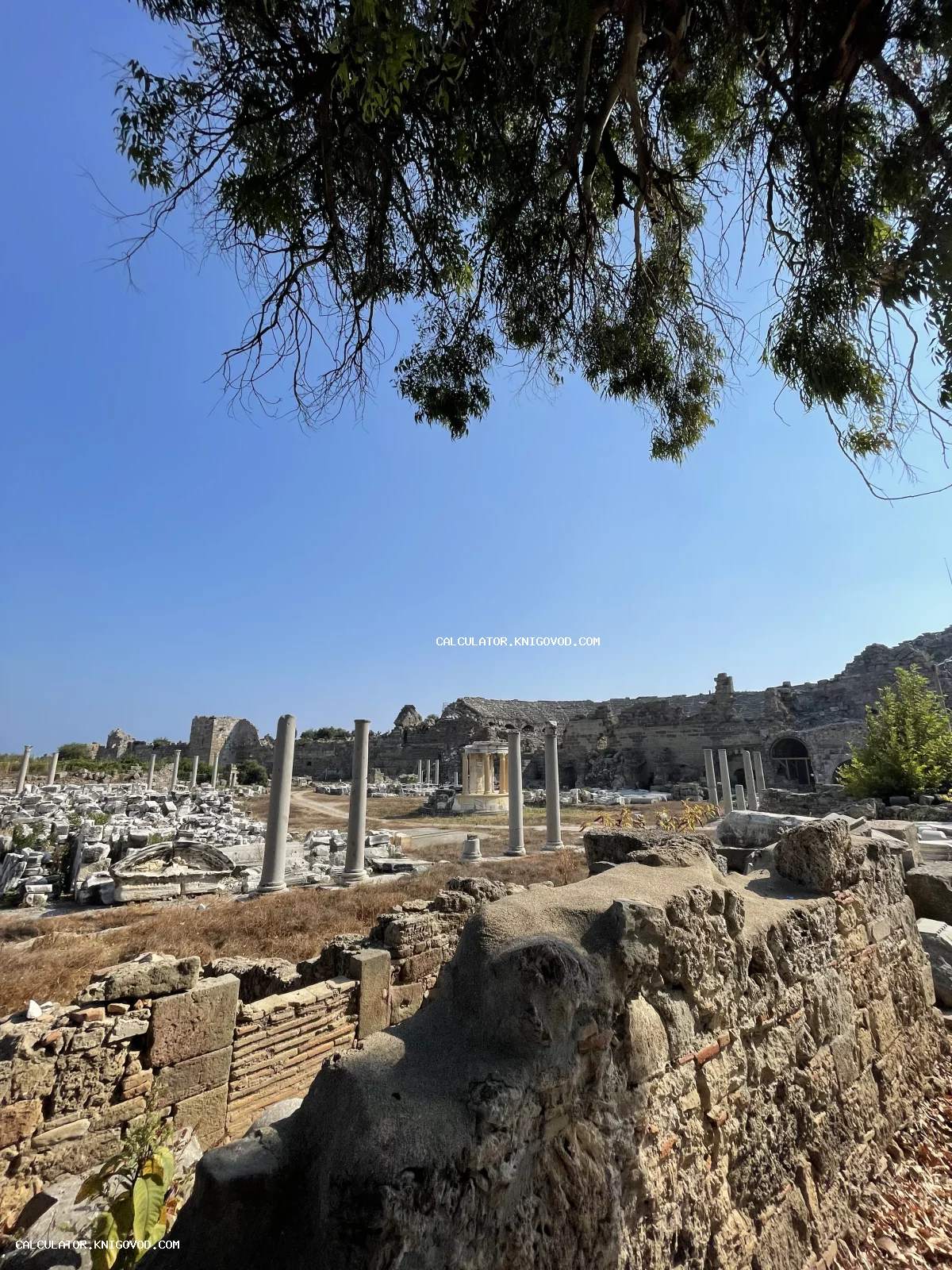Вид на археологические раскопки античного города с сохранившимися колоннами и каменными стенами под ясным небом.