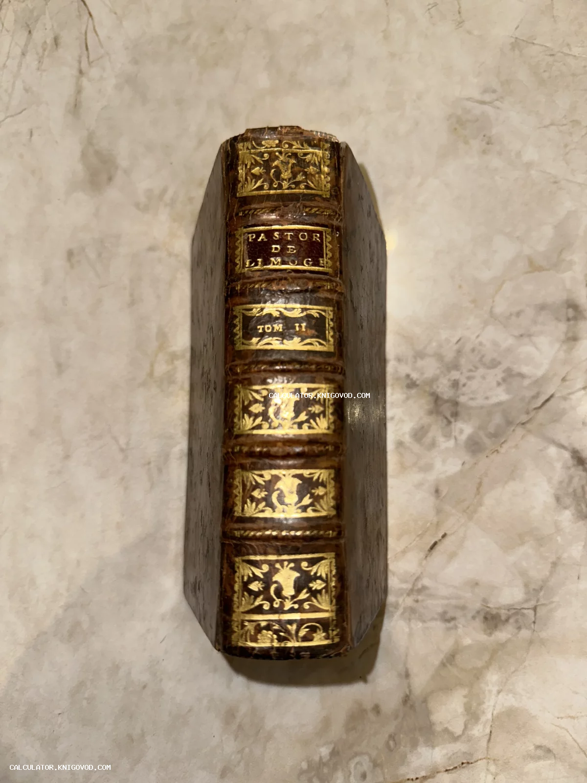 Корешок антикварной книги в коричневом кожаном переплете с золотым тиснением и надписью Pastor de Limoge Tom II.