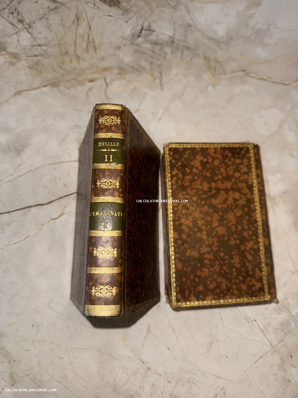 Два тома старинной книги в кожаном переплете с золотым тиснением на мраморном фоне.