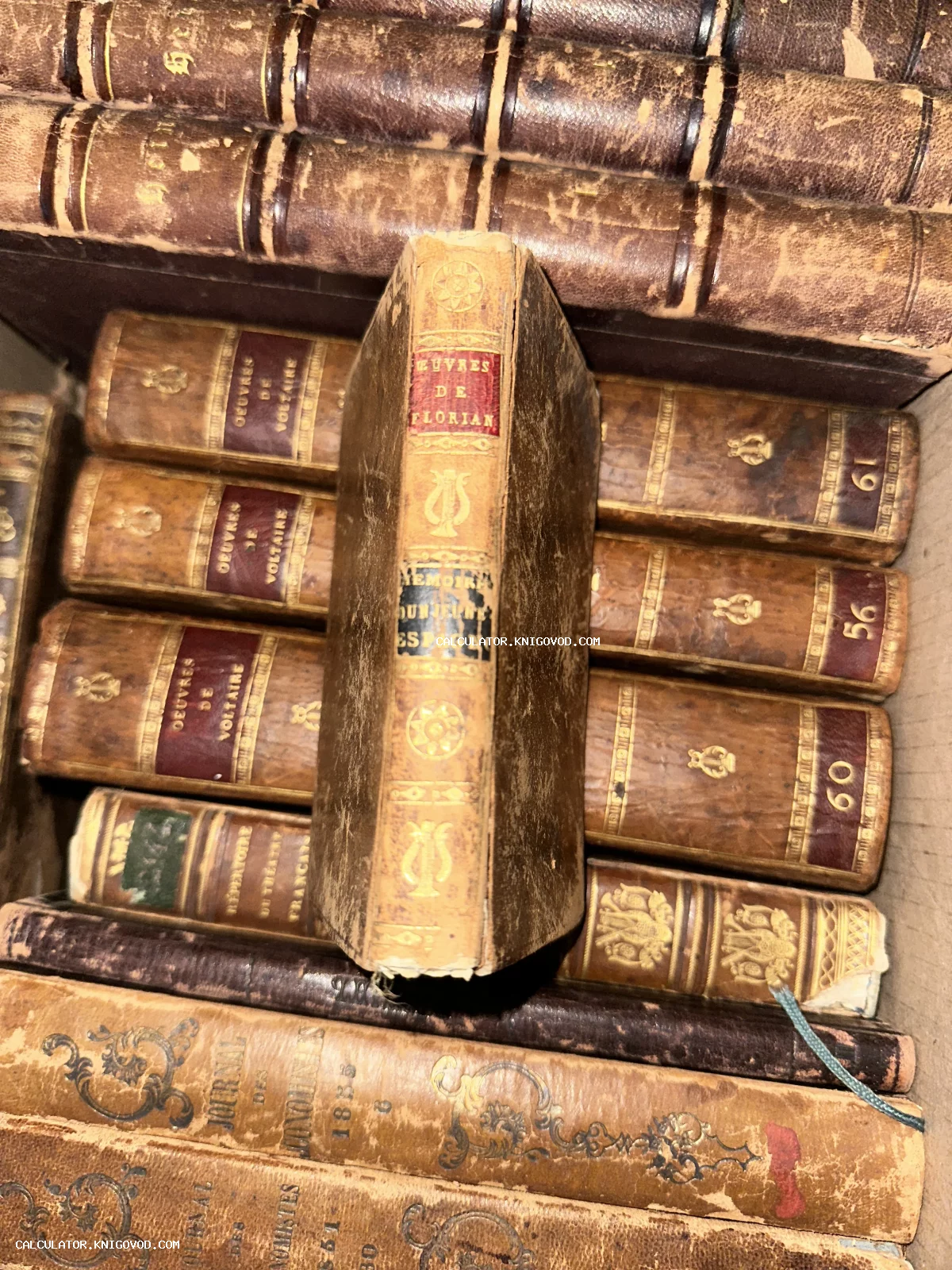 Группа антикварных книг в кожаных переплетах с золотым тиснением на корешках, среди которых видны сочинения Вольтера и Флориана.