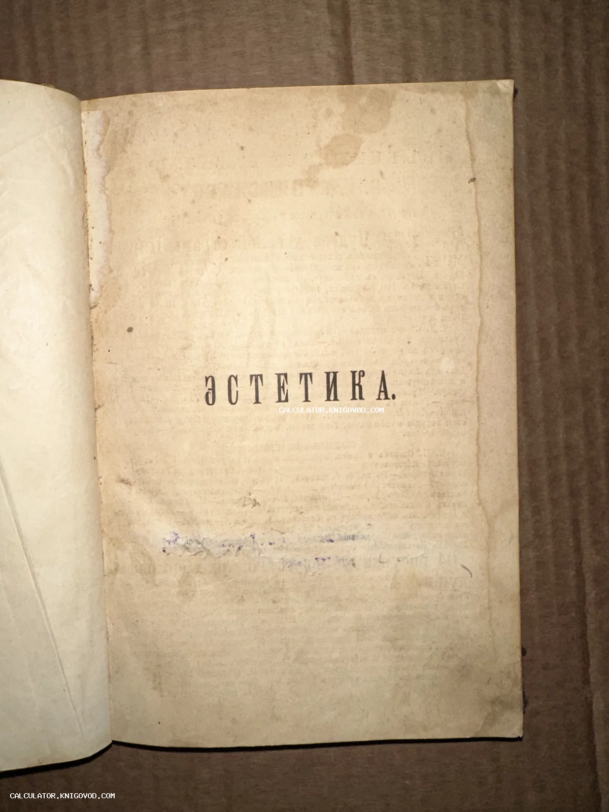 Разворот старинной книги с напечатанным в центре словом «ЭСТЕТИКА» на пожелтевшей от времени бумаге.