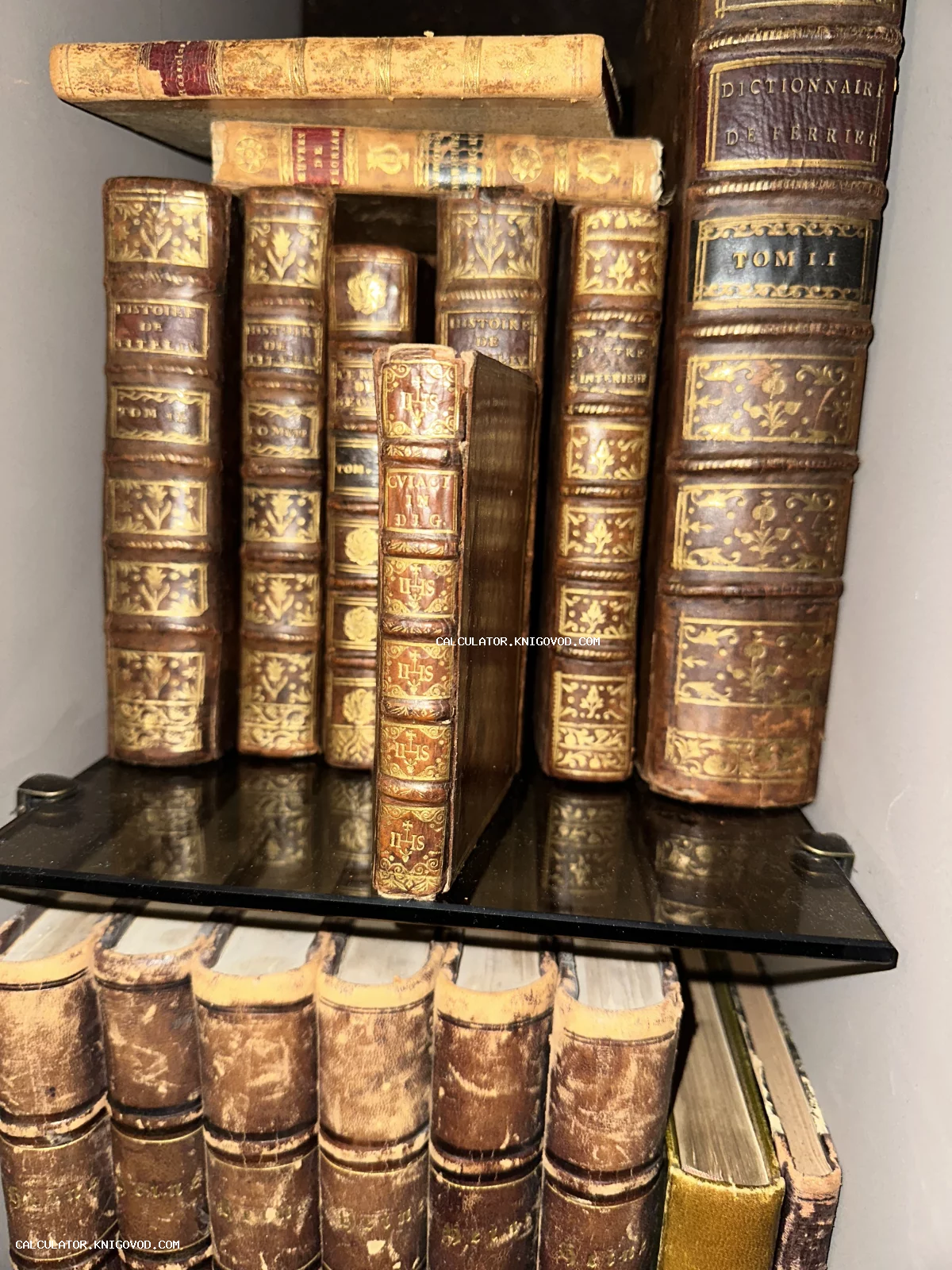 Старинные книги с золотым тиснением на кожаных корешках на книжной полке.