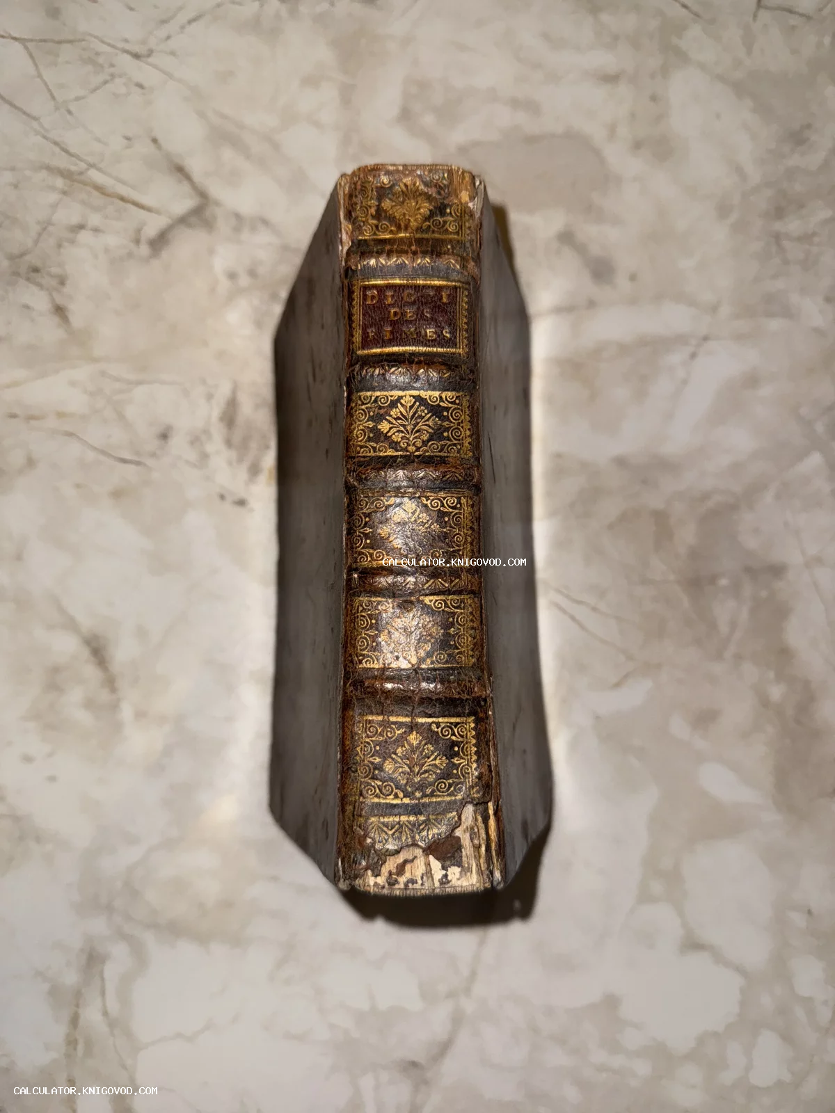 Вид сверху на корешок старинной книги в кожаном переплете с золотым орнаментом на мраморном фоне.