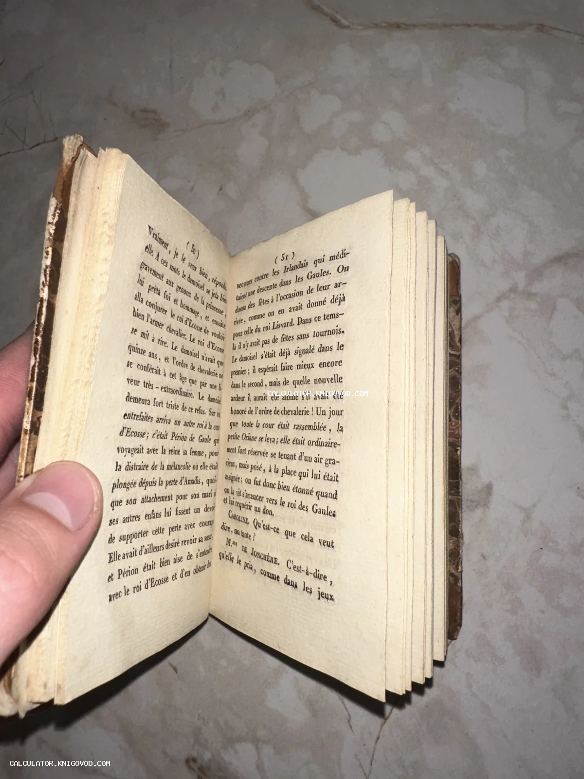 Раскрытая антикварная книга на французском языке с пожелтевшими страницами и кожаным корешком.