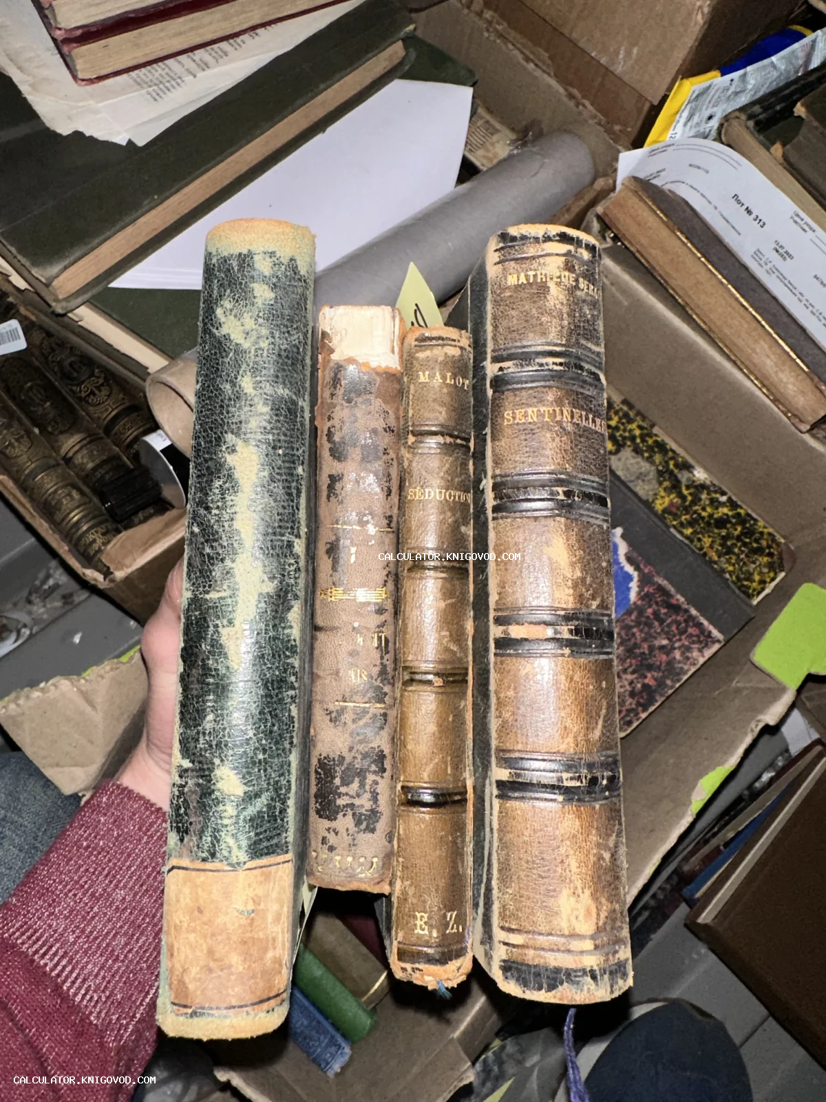 Четыре антикварные книги с потертыми кожаными корешками и золотым тиснением, которые держит человек на фоне архива.