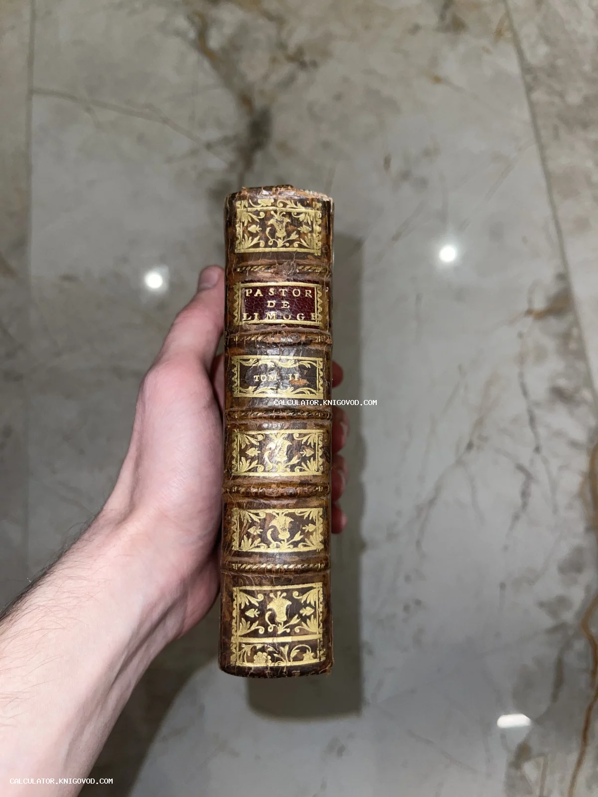 Корешок старинной книги в кожаном переплете с золотым тиснением и надписью Pastor de Limoge Tom II