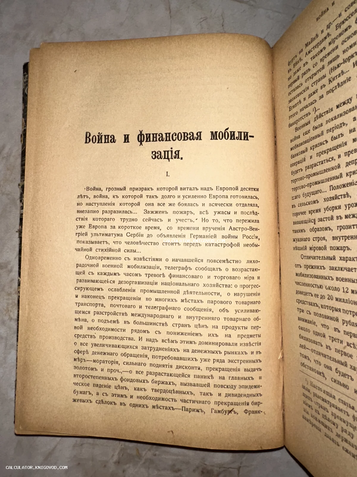 Разворот антикварной книги с заголовком на дореволюционном русском языке о военной экономике.