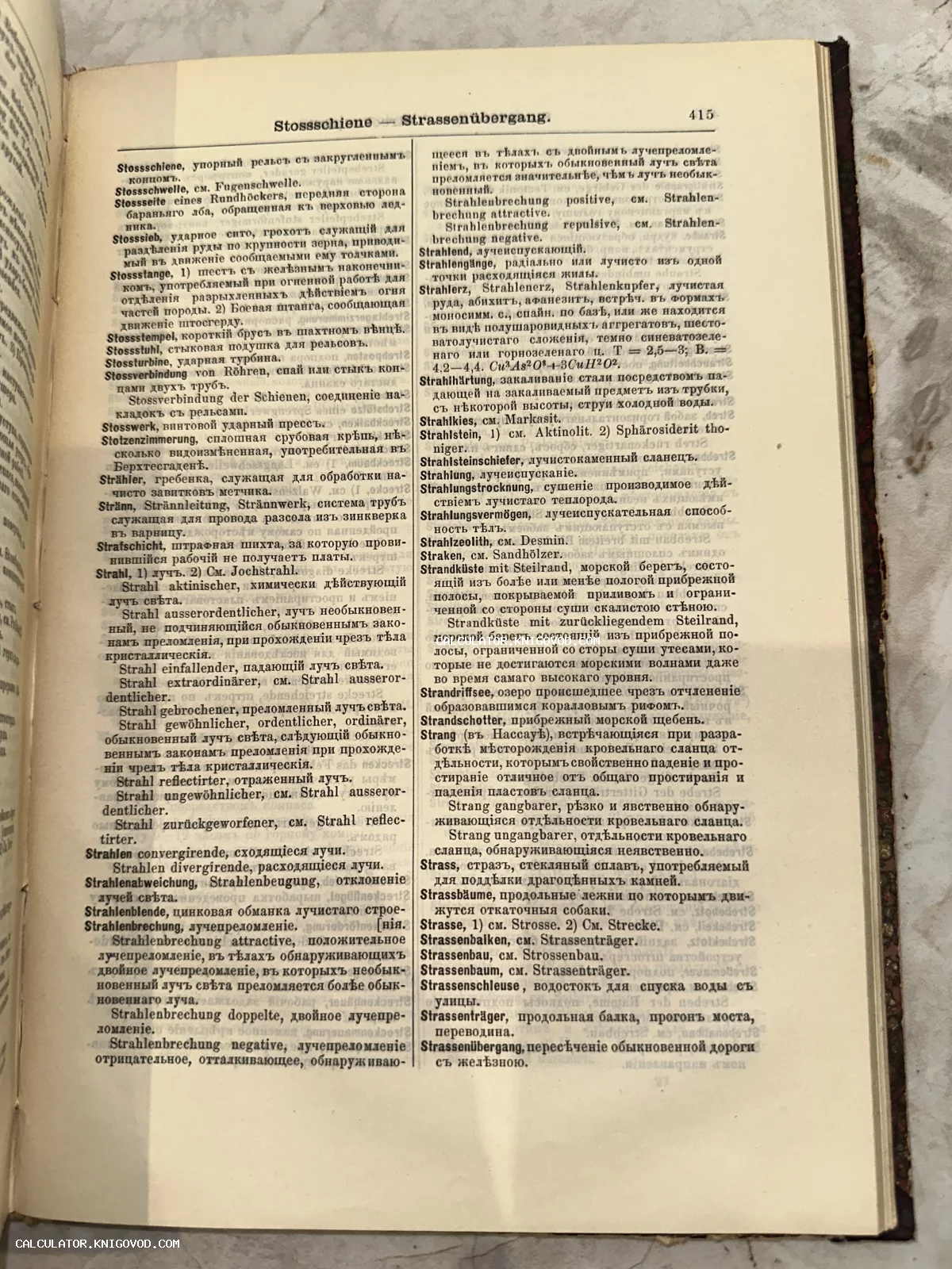 Разворот старинной книги с двухколоночным текстом на немецком и дореволюционном русском языках.