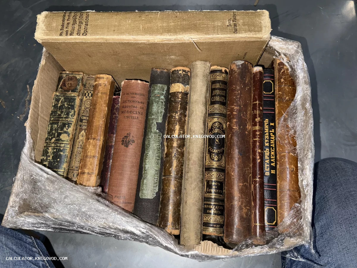 Старинные книги с потертыми кожаными и тканевыми корешками, сложенные в коробку. Видны названия на русском, французском и немецком языках.