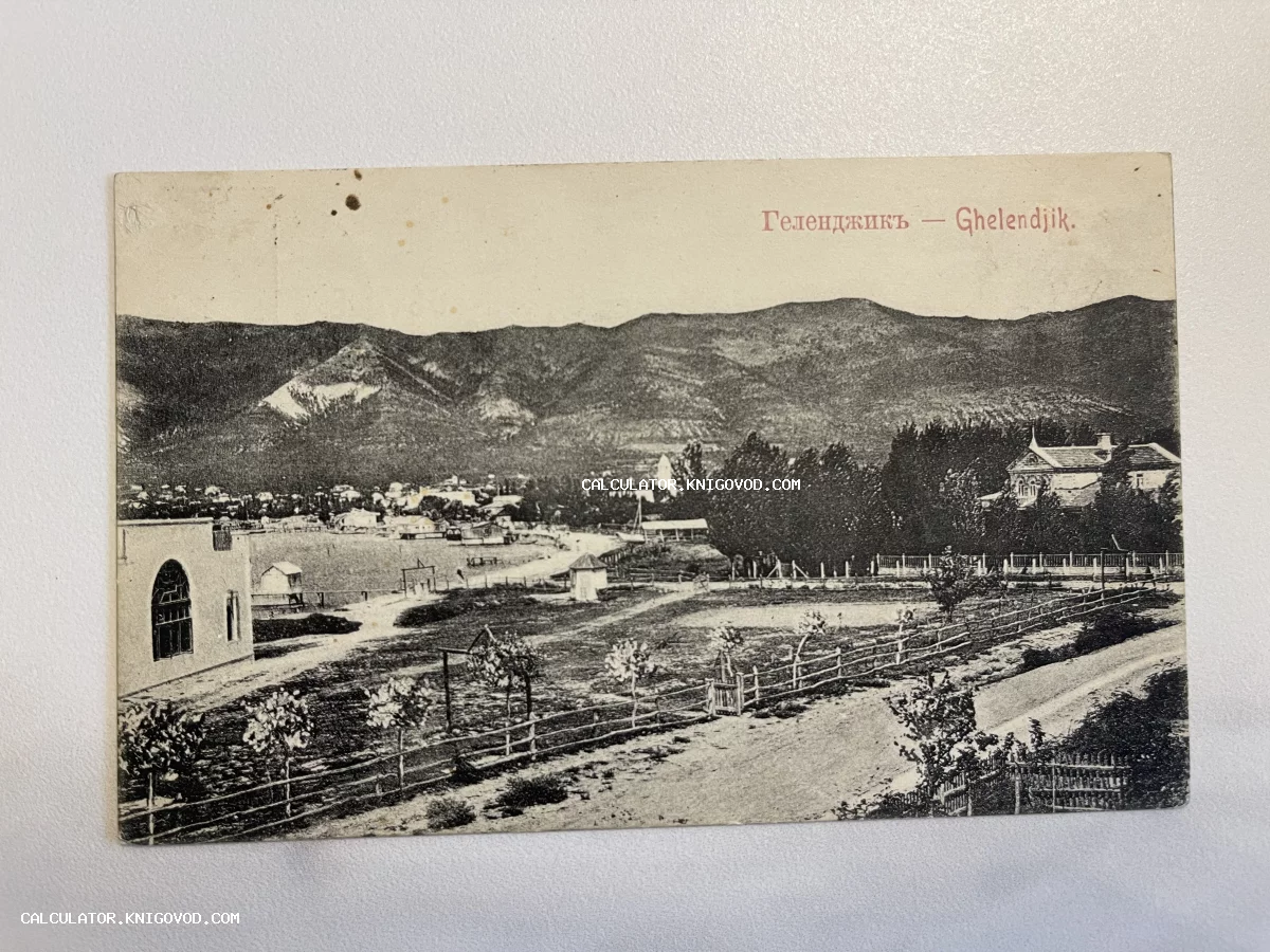 Старинная черно-белая почтовая открытка с панорамным видом на город Геленджик и Кавказские горы начала XX века.
